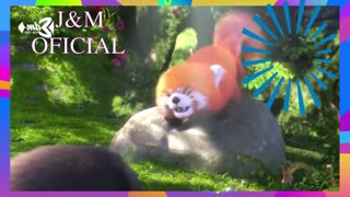 Exit Friendzone ft. Eden - Iris [[SDA Official Vídeo J&M]](Best Animation Music)