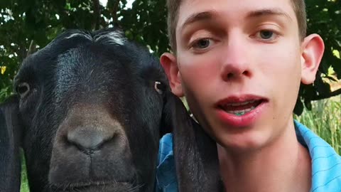 With my goat part 2