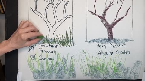 Drawing and Painting Trees with the Fibonacci Method for Beginner