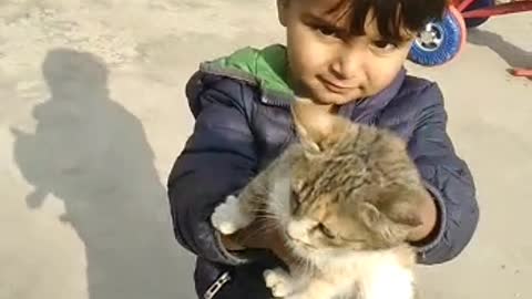 Nutty Zohaan playing with cat