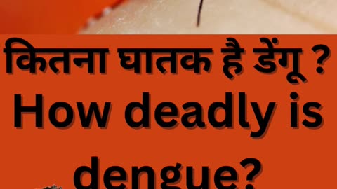 कितना घातक है डेंगू |How deadly is dengue? |