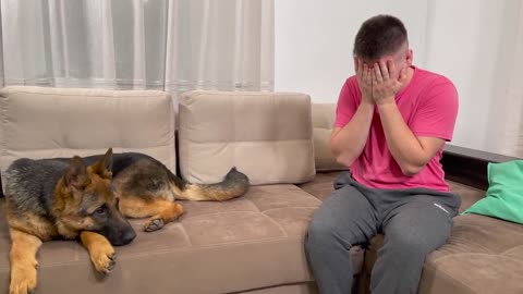 German Shepherd Puppy Reaction to Man Crying Video Compilation l 2021