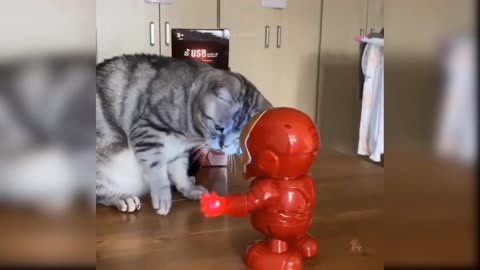 Ironman V/S Cat Very Funny Video.