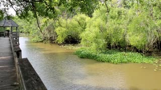 The Altamaha River Park