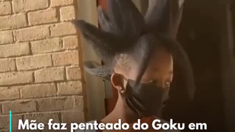 Goku's hair.