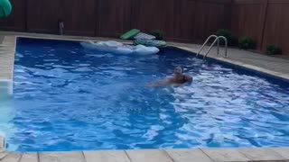 Doggo Conquers Fear of Pool to Save Human