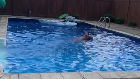 Doggo Conquers Fear of Pool to Save Human