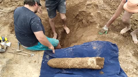 3 Million-yo Mammal Fossil Found On Beach