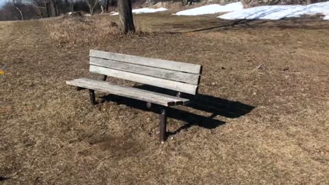 Park bench