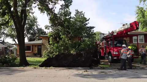 Illinois resident heard 'big thump' before tree fell on house during storm.mp4