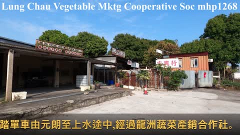 龍洲蔬菜產銷有限責任合作社 Lung Chau Vegetable Marketing Cooperative Society Ltd. mhp1268, Mar 2021
