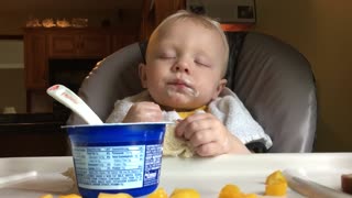Exhausted baby falls asleep mid-meal