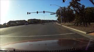 Birds Using the Crosswalk