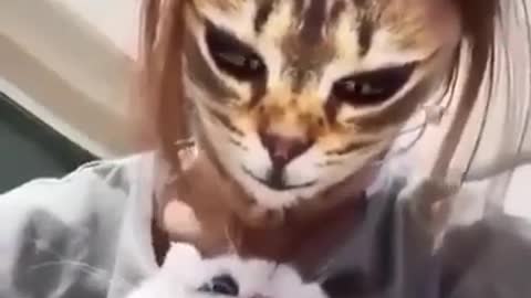 Incredible cats