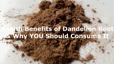 Dandelion Root Health Benefits