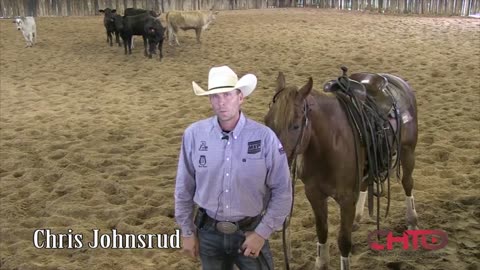 How To Teach A Cutting Horse Horse To Spread His Hind Feet With Chris Johnsrud