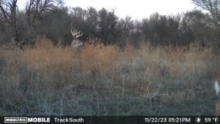 10 point Buck - Oklahoma