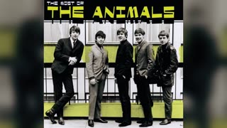 The Most of The Animals