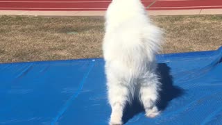 Chloe at The Park