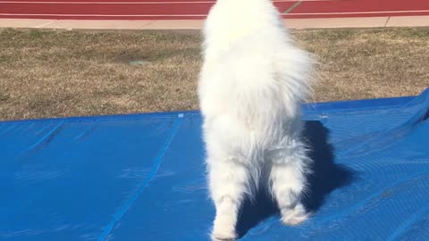 Chloe at The Park