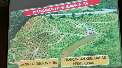P03 Pembangunan Tanaman Durian, Mohd Ali Hanafiah, @Raub, 4 Jun 2024
