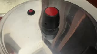 New Pressure Cooker Explodes on First Use