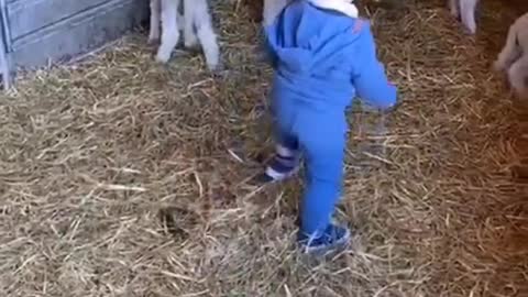 Lil Boy having fun with his new Friends #AnimalLove #CuteAnimals