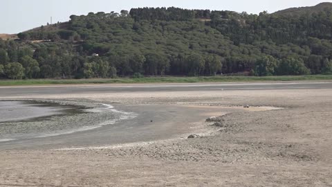 Sicily's only natural lake is disappearing