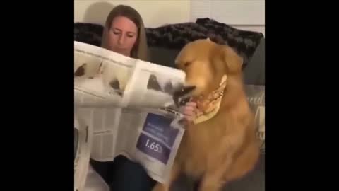 Milo doesn't want to read the newspaper