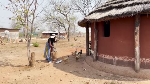 African girl Village Life/ My Zimbabwean