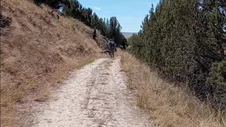 Cress Creek Idaho Hike Hiking