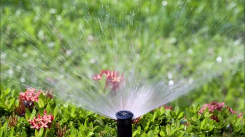 Rick's Sprinkler and Lawn Inc - (406) 672-4175