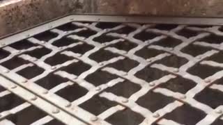 Girl Amazingly Sings Hallelujah Into A Well In Italy