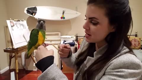 Parrot Training