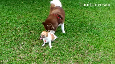 The giant loves the tiny girl, and receives fond kisses!