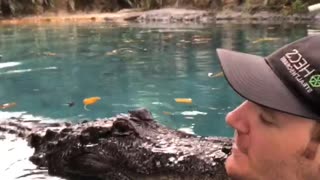 This friendly alligator really loves his caretaker!