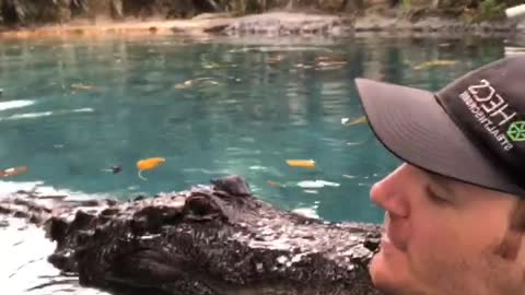 This friendly alligator really loves his caretaker!