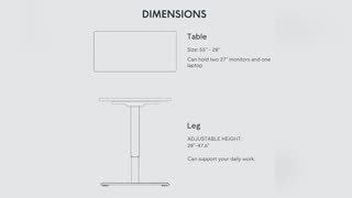 FLEXISPOT Electric Adjustable Height Standing Desk