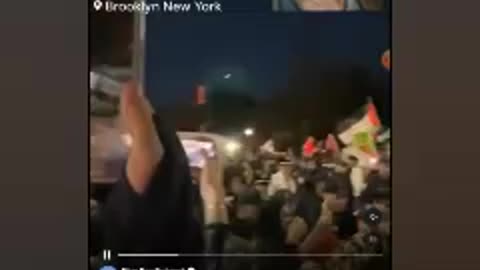 ROBODOG ARREST, D.C ON ALERT AS MILITARY TAKES TO STREETS? PRO-PALESTINIAN "PROTESTORS" CLASH W/NYPD