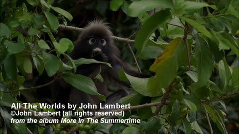 All The Worlds-John Lambert MUSIC VIDEO