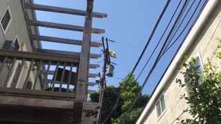 Tangled Mylar Balloons Cause Massive Explosion On Power Line