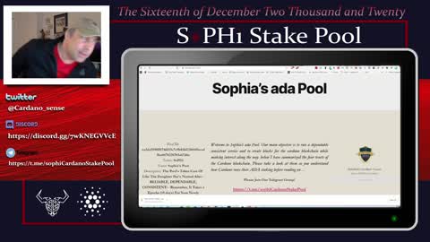 Welcome Back To The SoPHi Stakepool. How Long Does It Take To Get Your Rewards, A Refresher Course.