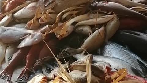 Big fishes in a fish market part 1