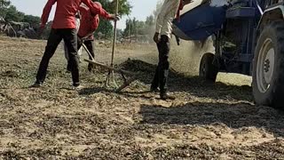 Harvesting 🥜