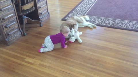 Is this the most adorable tug-of-war game ever?