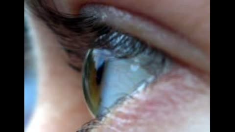 Interesting fact about the human eye