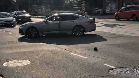 Road Rage After Fender Bender in Toronto