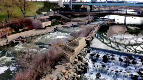 Tourists & Dogs Playing in Denver River, Riverfront