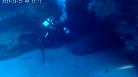 Diving Lanzarote [Blue hole]