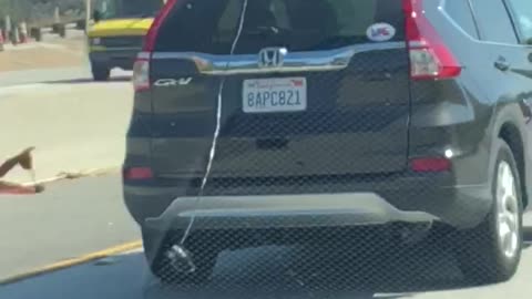 Honda crv with surfboard string hanging from back of car